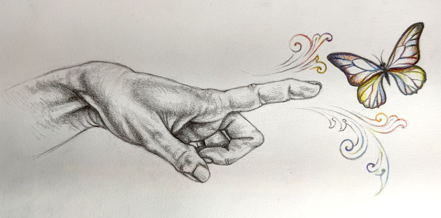 drawing of a hand pointing to a butterfly
