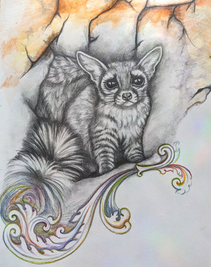 drawing of a ringtailed cat with stone background and colorful swirls
