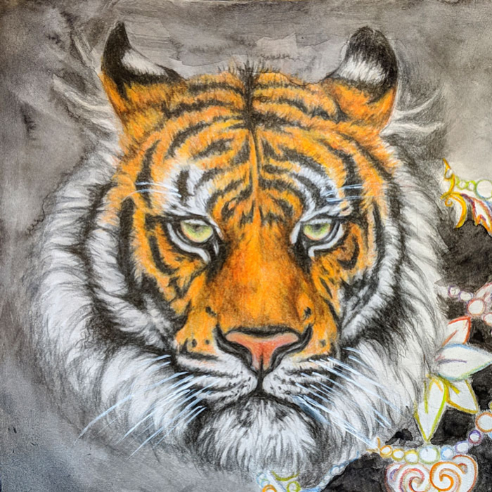 drawing of a tiger