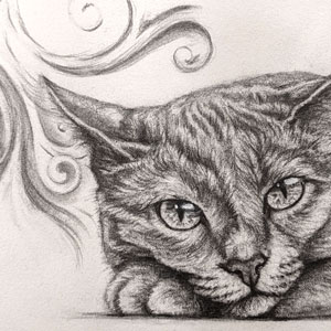 detail of a cat drawing