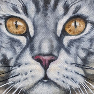 painting of a cat, close up detail