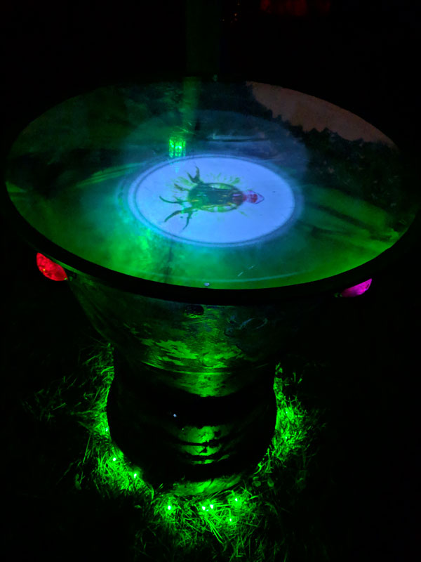 scrying mirror showing a tree vision