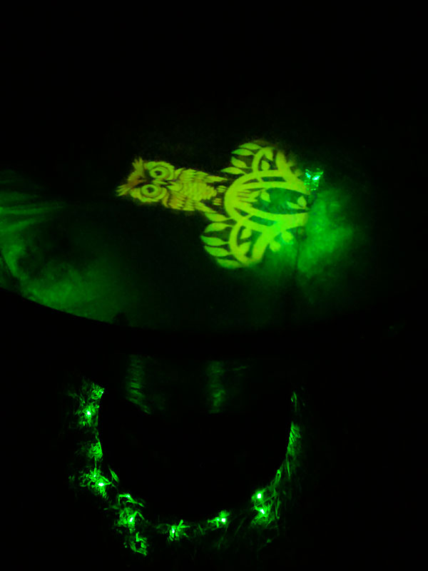 scrying mirror showing an owl vision