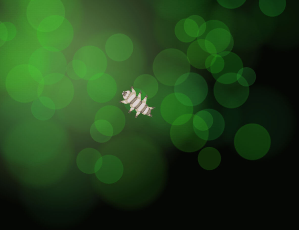 animated tardigrade graphic still