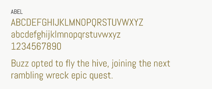 Abel type specimen