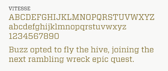 Vitesse type specimen