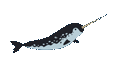 illustraton of a swimming narwal