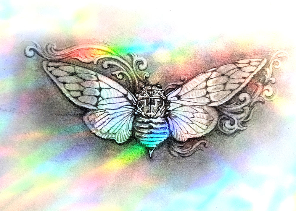 illustration of a cicada with abstract swirls