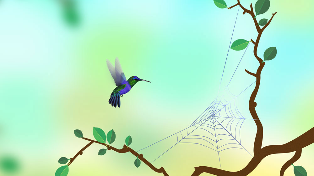 illustration of a hummingbird looking at a spiderweb