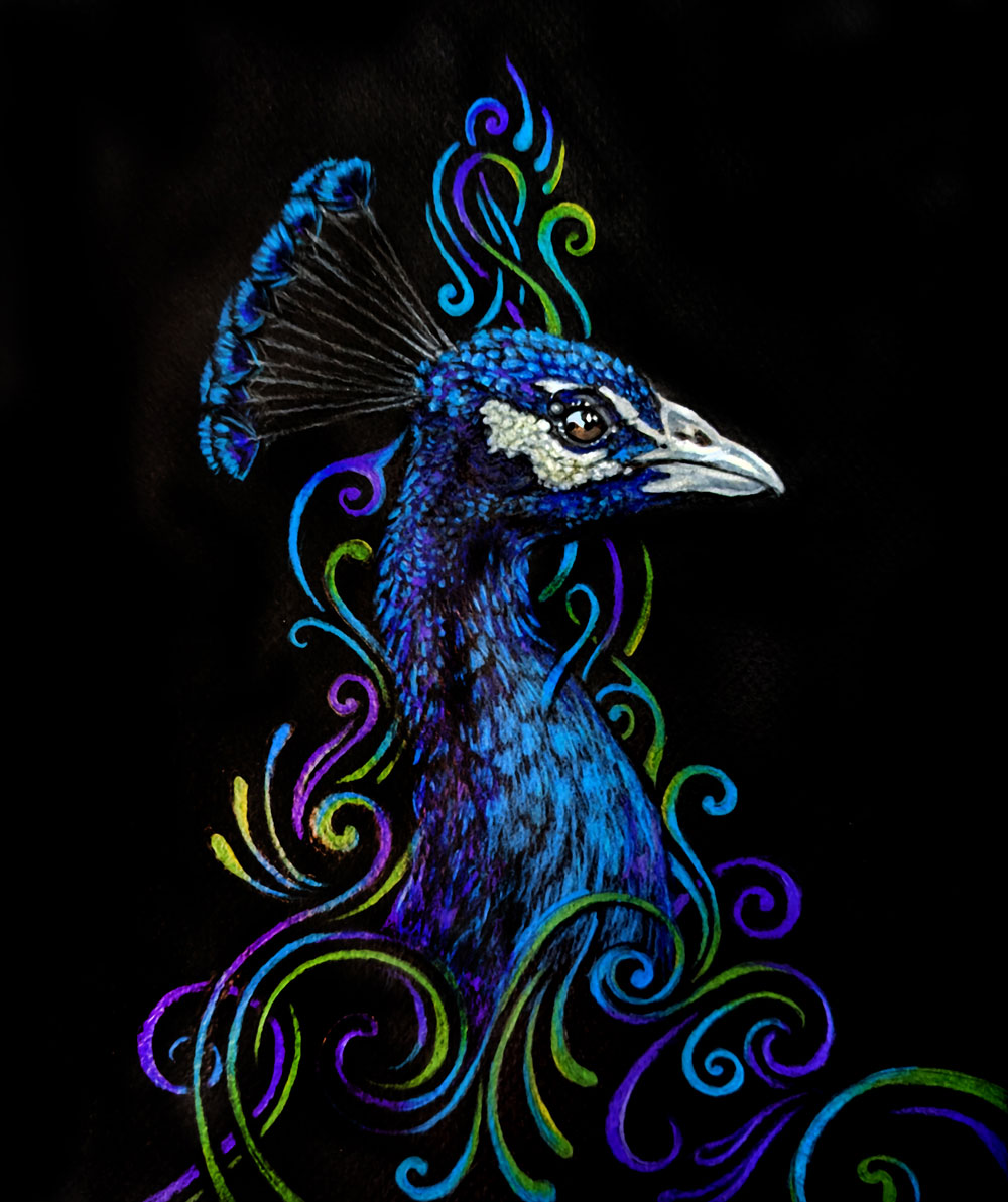 illustration of a peacock head with ornamental, colorful abstract swirls around it