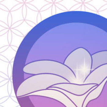 thumbnail of a flower illustration