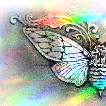 thumbnail of a cicada drawing