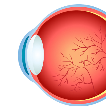 thumbnail of a human eye