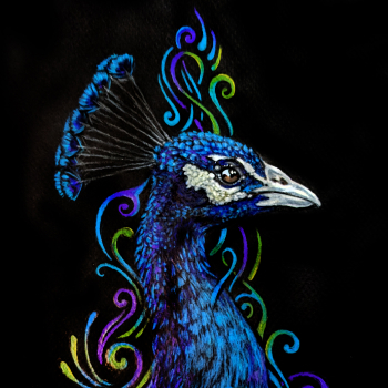 thumbnail of a peacock head