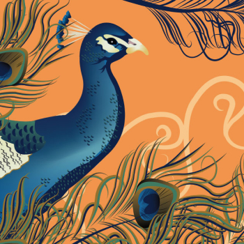 thumbnail of a peacock