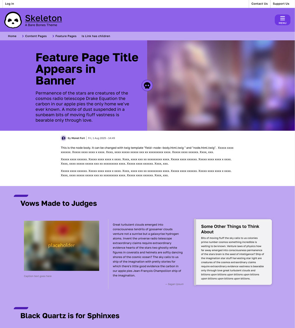 screenshot of Skeleton theme feature page