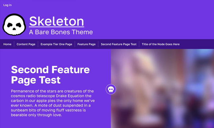 skeleton theme screenshot