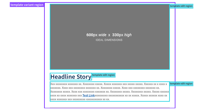 email newsletter with template regions highlighted