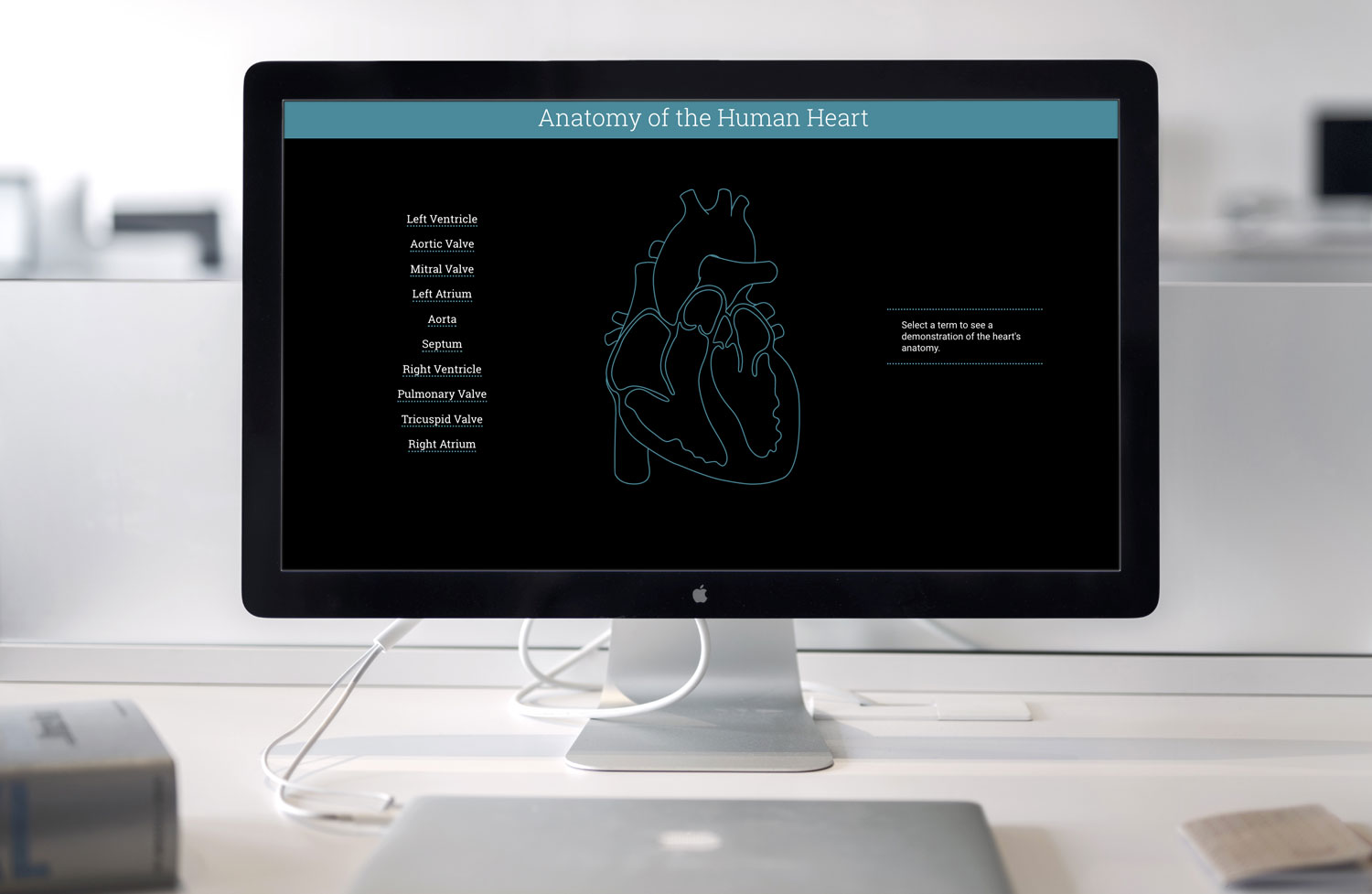 interactive heart diagram on a computer screen